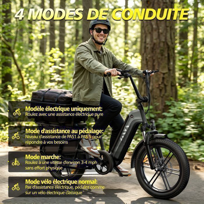 Vélo Électrique Famille 20