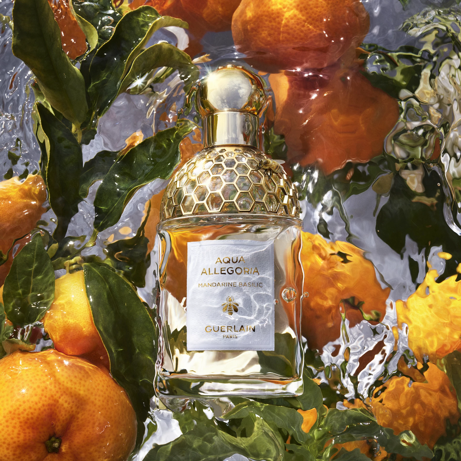 Aqua Allegoria Mandarine Basilic EdT 75 ml - GUERLAIN