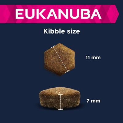 Eukanuba Puppy Large & Giant Breed – lammas ja riisi