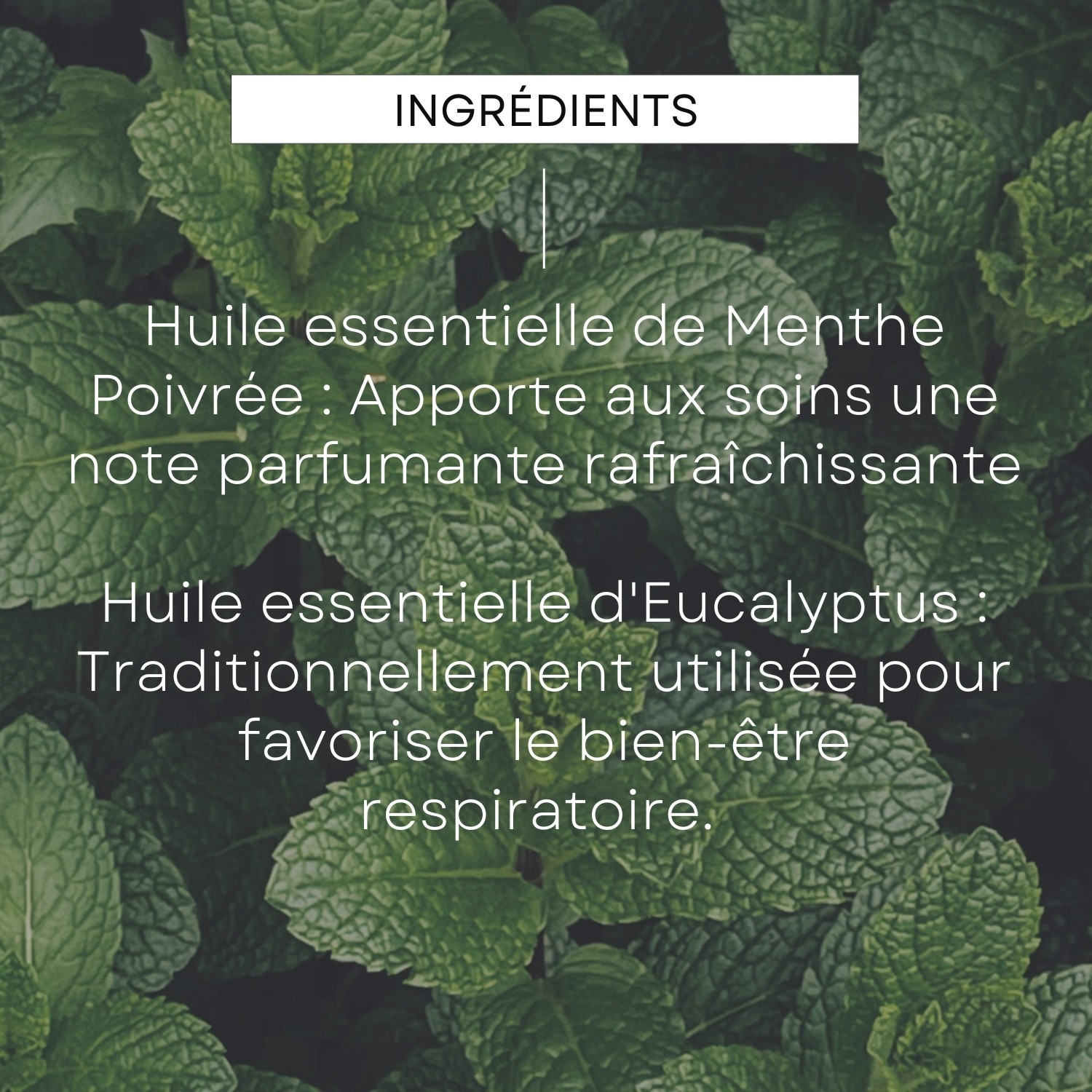 Weleda Deodorant stick Eucalyptus Peppermint