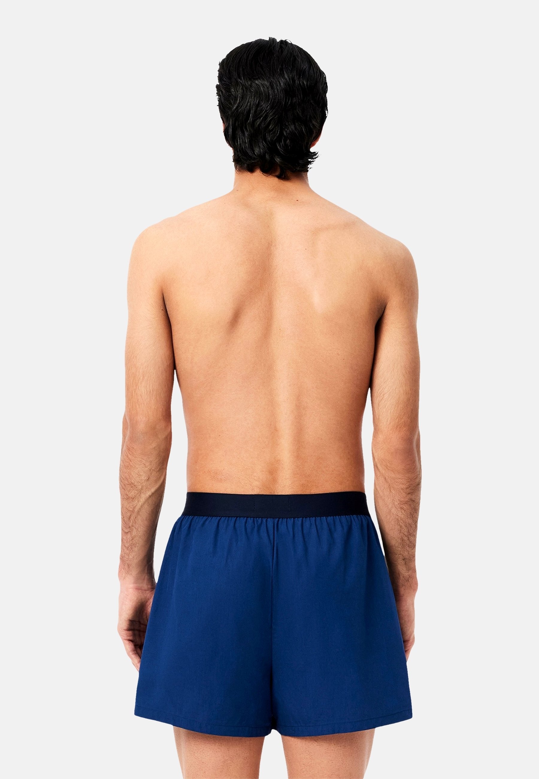 Lacoste BOXER SOUS-VETEMENTS - Boxer shorts - vaporous/methylene-navy b