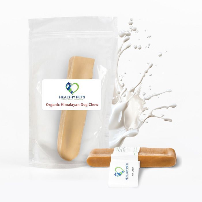 Barre De Curcuma Healthy Pets Pour Chiens - Contre Le Tartre Et L'hygiène Dentaire - IDéale Pour Les Chiots Et Les Chiens Adultes