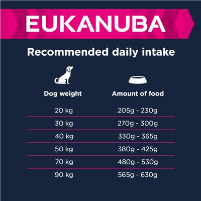 Eukanuba Large Breed Adult - jehněčí a rýže