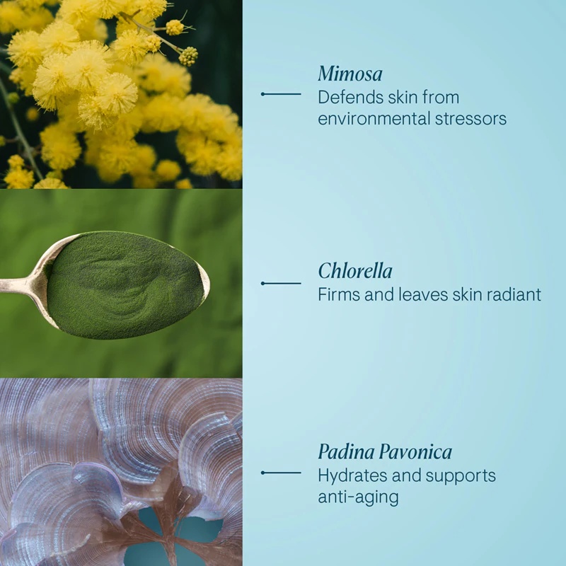 Dnevna krema proti gubam Elemis Pro-Collagen Marine Cream