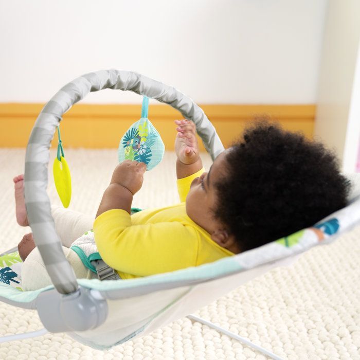 BRIGHT STARTS Wild Wonders Vibrerende Babybouncer - Afneembare Speelboog, 3-puntsgordel