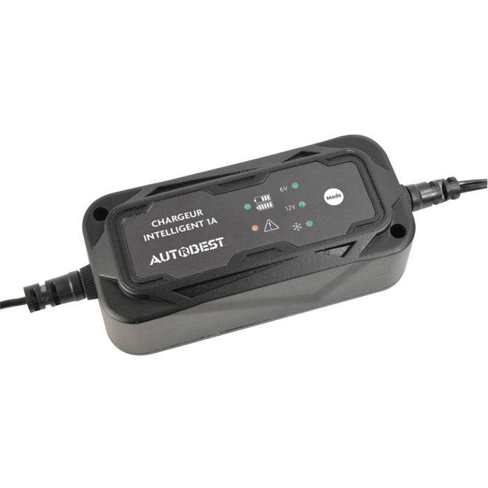 Cargador de batería para motocicleta - Carga de mantenimiento de 6V/12V