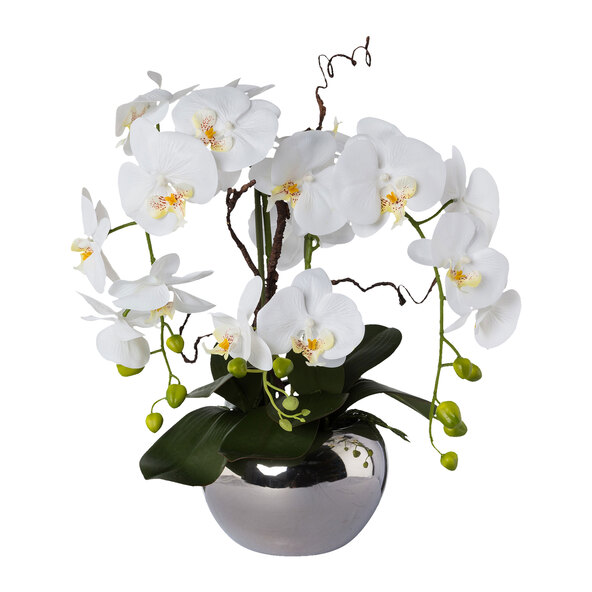 Aranjament artistic Phalaenopsis într-un ghiveci argintiu, 55 cm