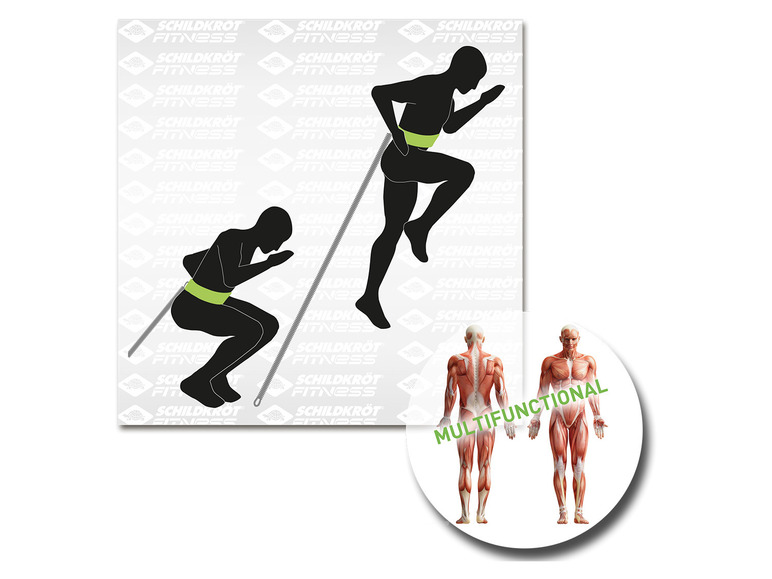 Turtle Speed Trainer Pro