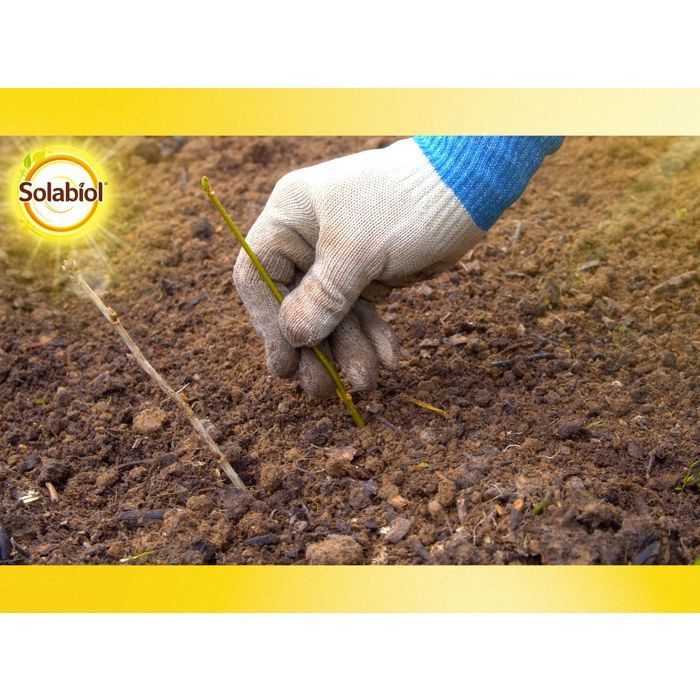 SOLABIOL Osiryl Esquejes - 40 ml - Rinde hasta 20 l de solución - Estimulador de raíces - Apto para su uso en esquejes y plantas trasplantadas