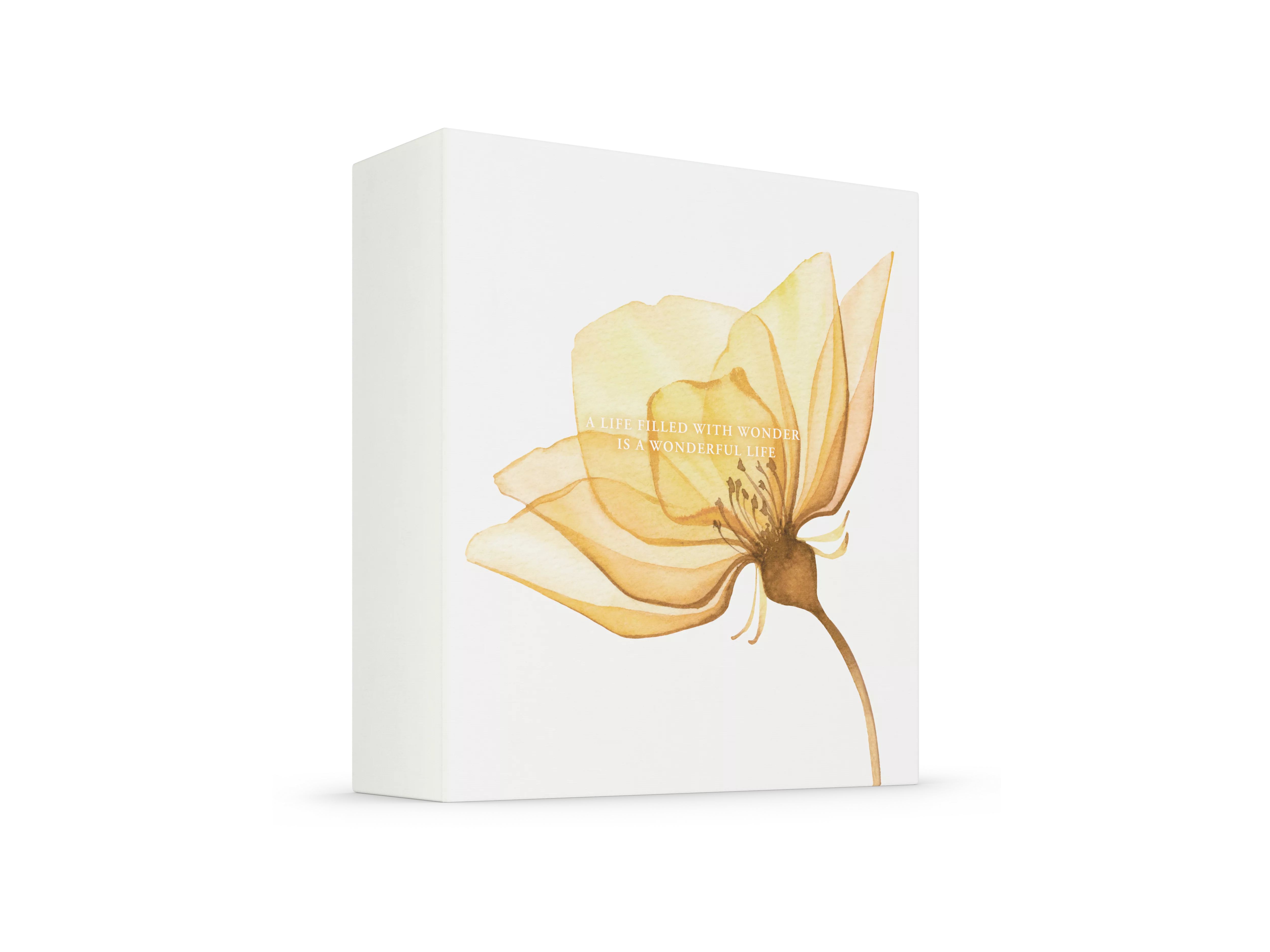Gift Set M