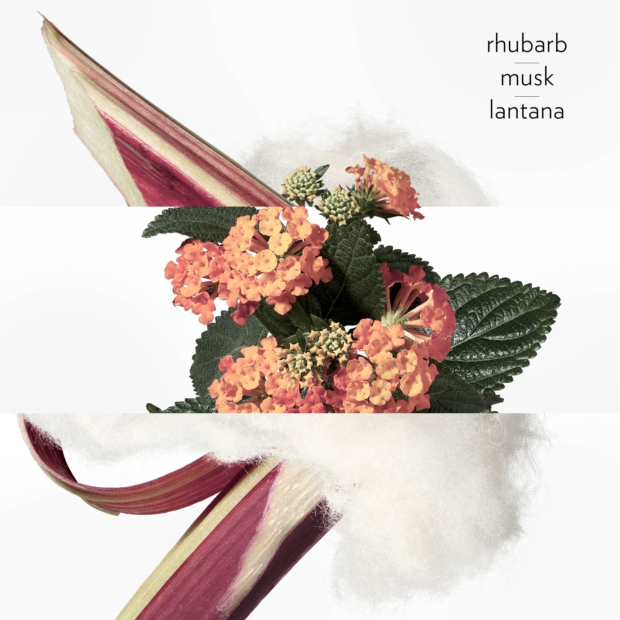 „Scarlet Rhubarb“ odekolonas Moteriški kvepalai