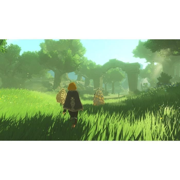 Hyrule Warriors: Les Chroniques du Sceau • Jeu Nintendo Switch 2