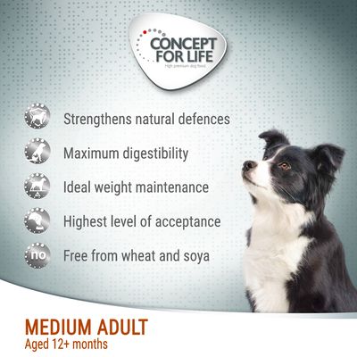 Concept pentru viață Adult mediu