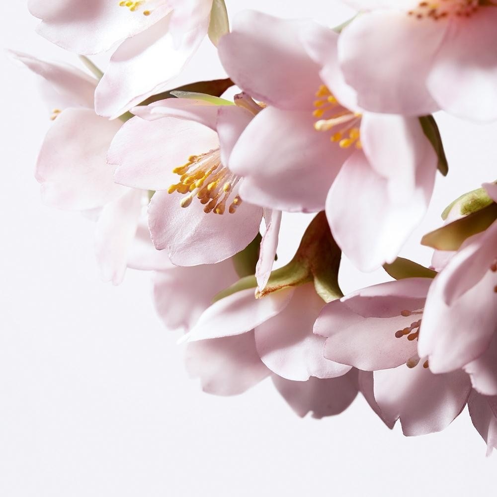 „Shiseido Glowserum White Lucent Illumination Micro Spot“ serumas, 50 ml