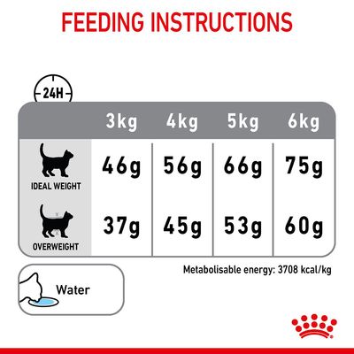 Cuidado dental Royal Canin