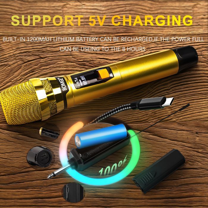 Professional 2-Channel Wireless Microphone System Kit for Karaoke and DJ, with Shiny Gold Microphone and Rechargeable Receiver