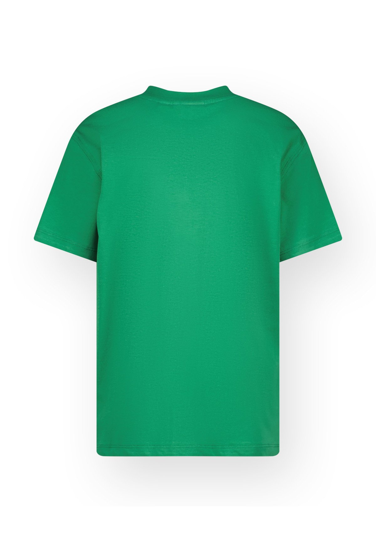 Vingino OVERSIZED - T-shirt met print - cactusgroen