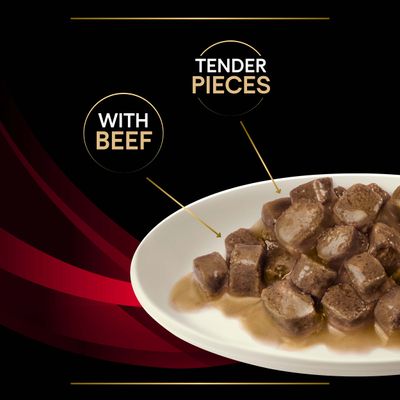 PURINA PRO PLAN Veterinary Diets Feline DM Diabetes Management - Storfekjøtt