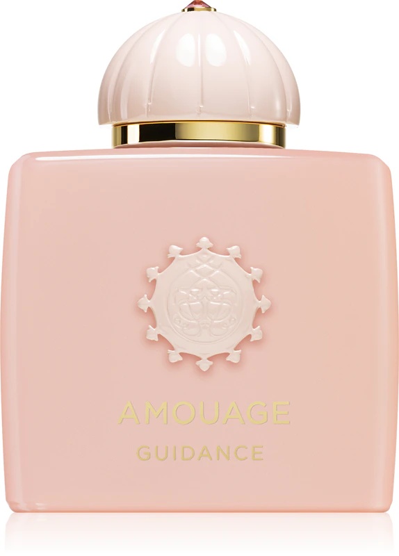 Amouage Guidance uniseks parfumska voda