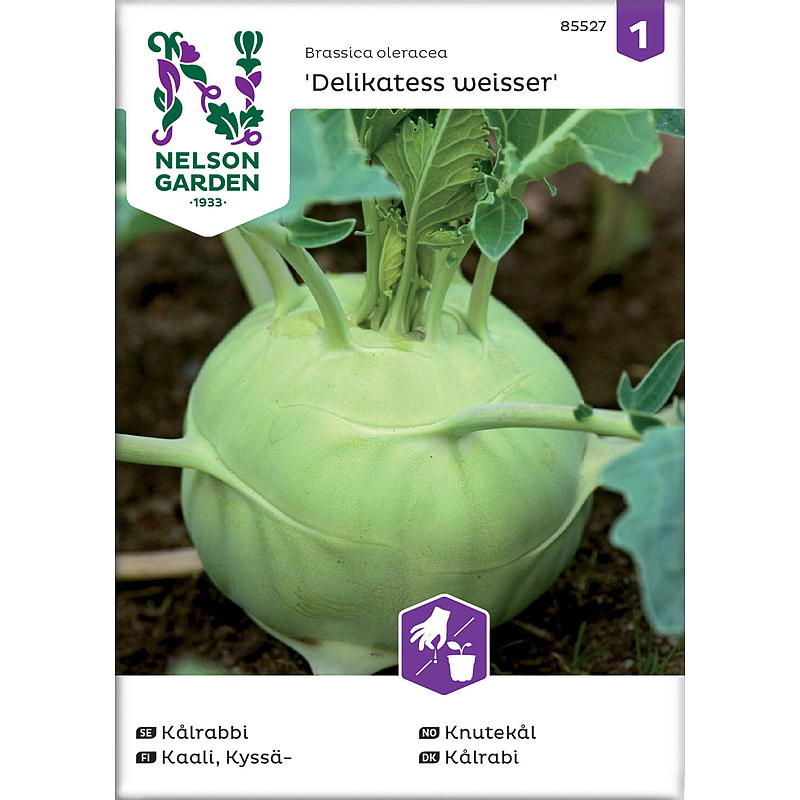 Nelson Gartensamen Knotenkohl Delikatesse weiß