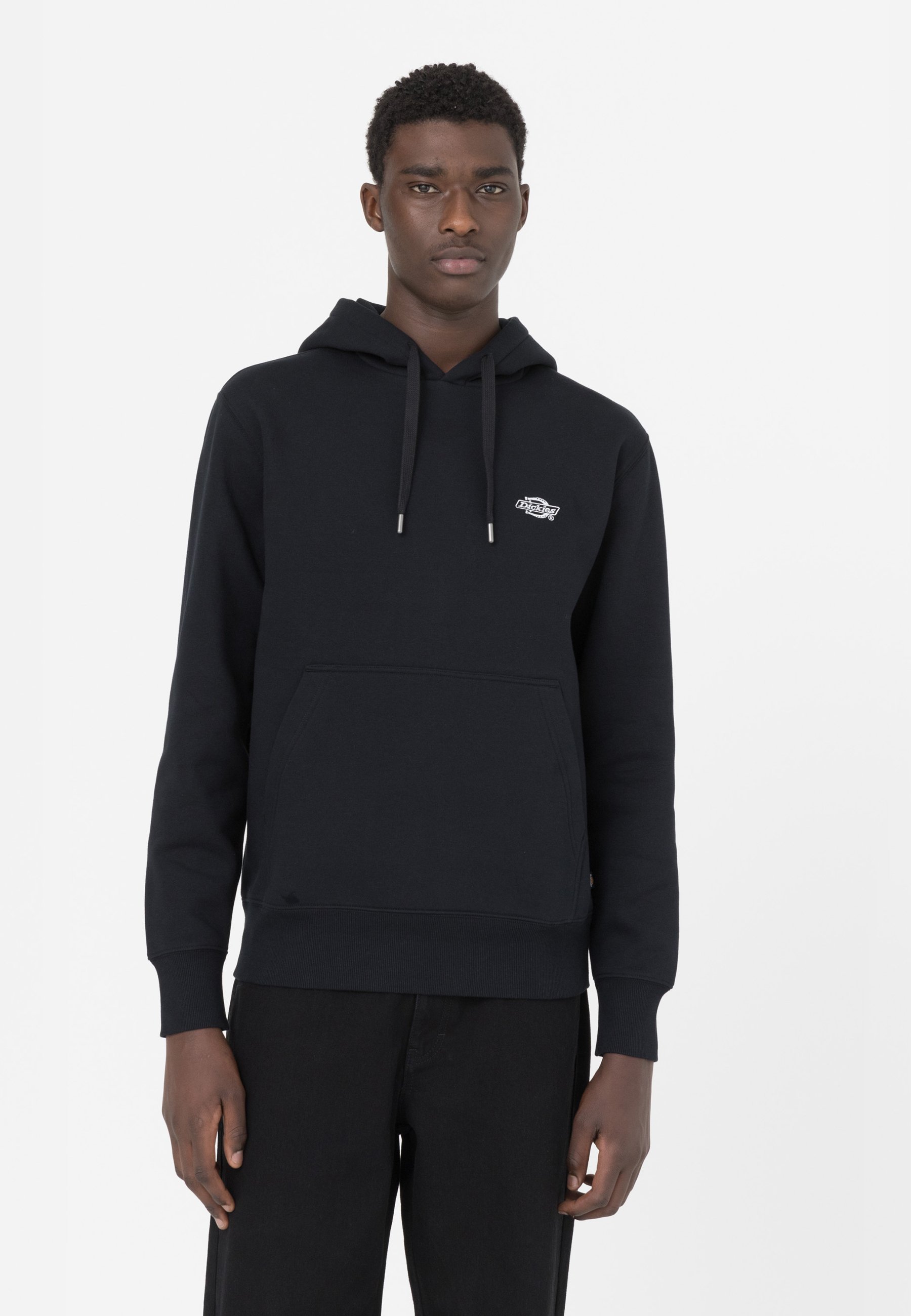 Dickies SUMMERDALE - Hoodie - zwart