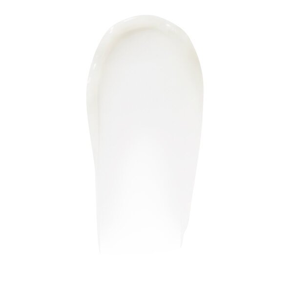 elf Pout Clout In the Clear olovka za popunjavanje usana<br>2g