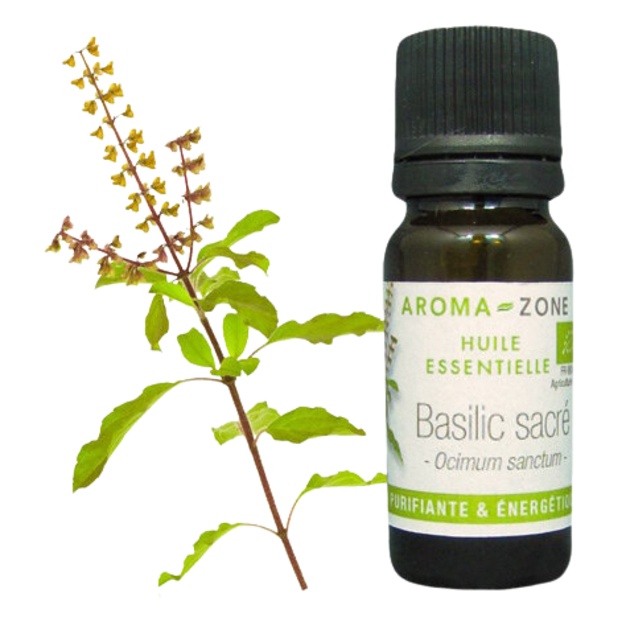 Olio essenziale di basilico sacro biologico 10 ml