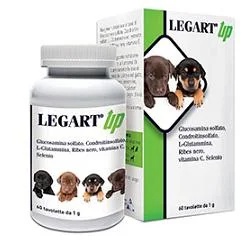 LEGART Legart Up 30 comprimés Complément nutritionnel