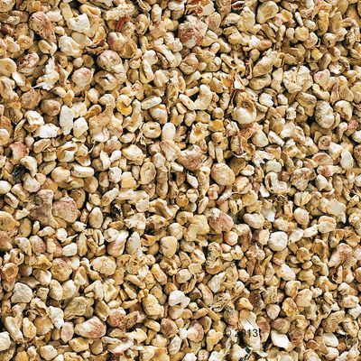 Chipsi majskolbe granulat kattegrus
