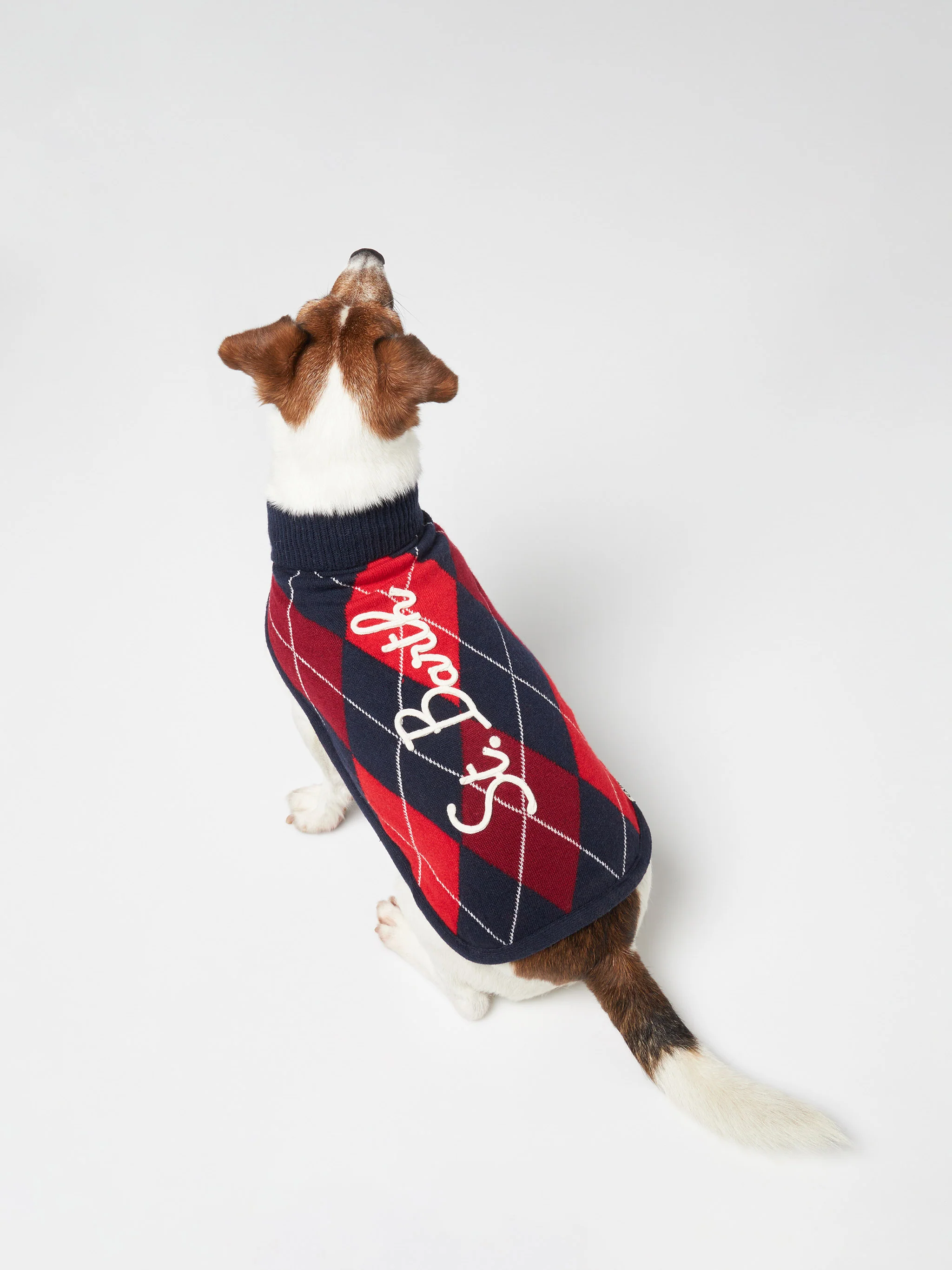 Trui voor honden met argyleprint