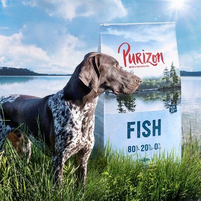 Purizon Fish Adult – bez zbóż