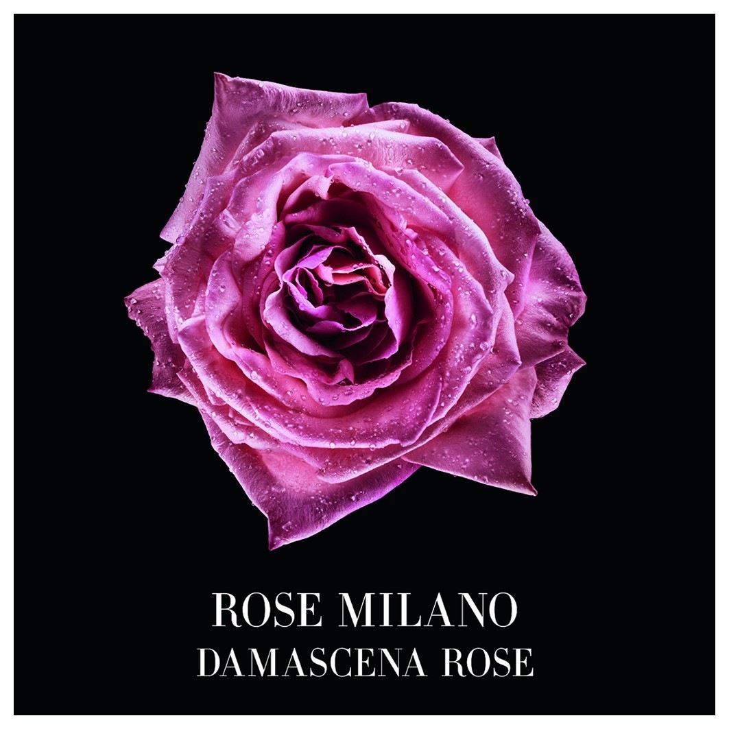 Armani tualetinis vanduo Armani Privé Rose Milano - 100 ml