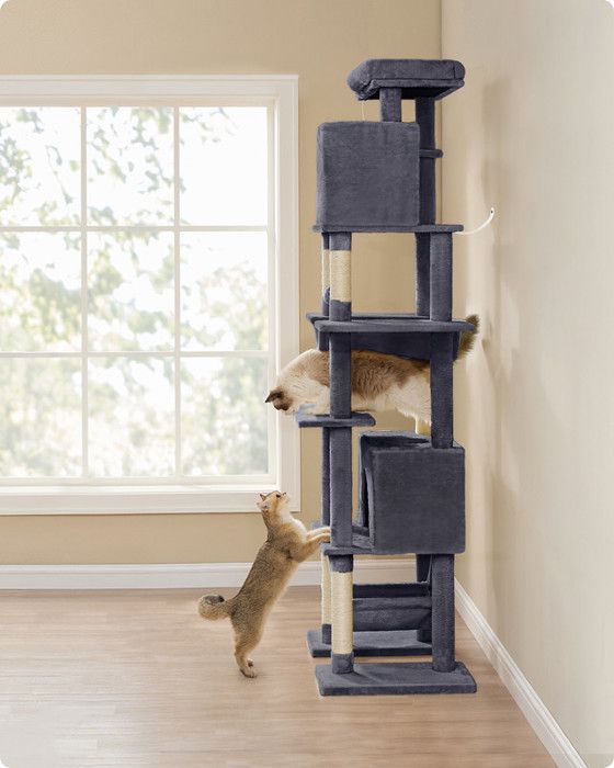 Arbre à Chat 201 cm, Taille XXL, Multi-Niveaux, 1 Plateforme, 1 Panier, 2 Niches, 2 Hamacs, Dispositif Anti-Basculement, Gris Foncé