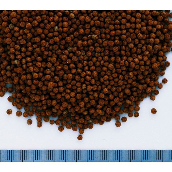 Gránulos para peces Tetra - 1 litro - Alimento específico - Peces de agua fría - Menos de 1 kg