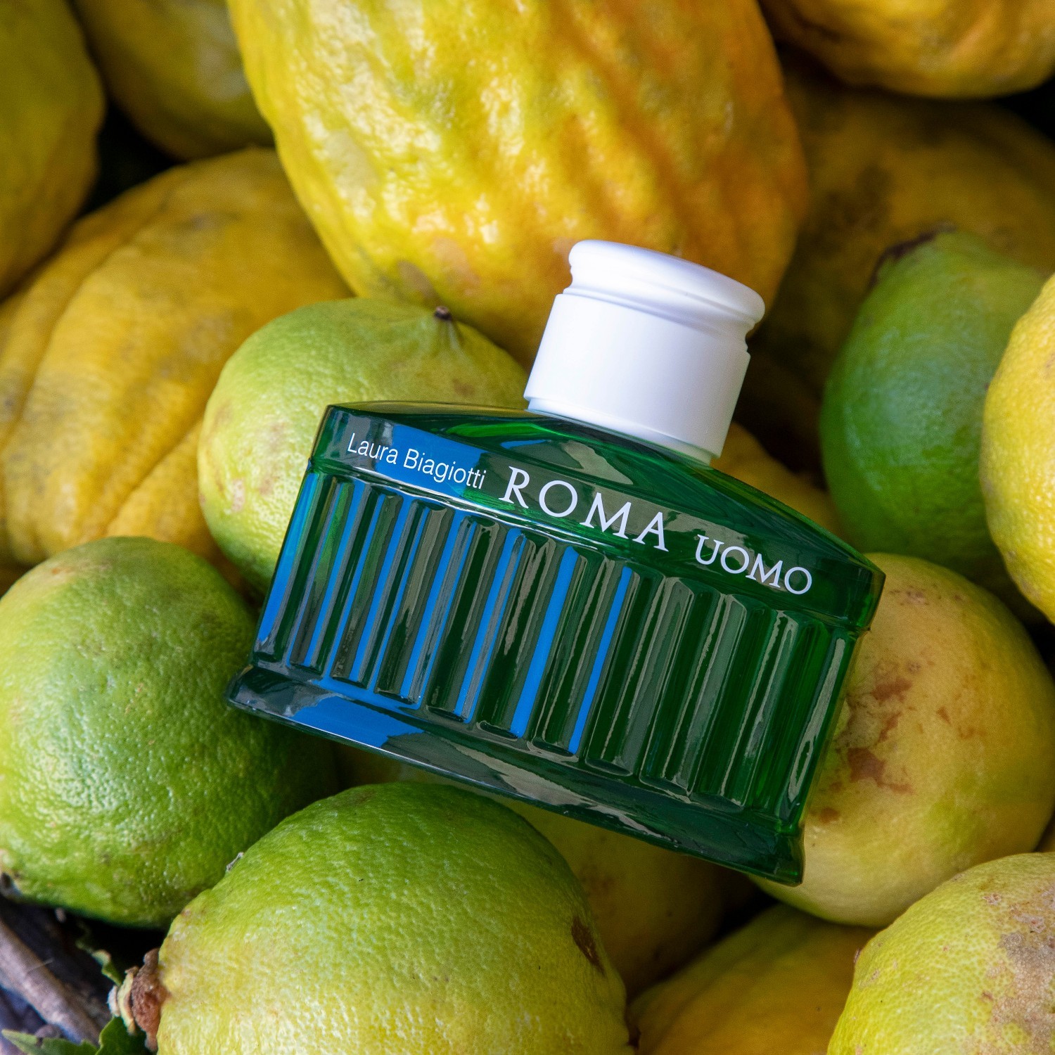 Laura Biagiotti toaletna voda Roma Uomo - 40 ml