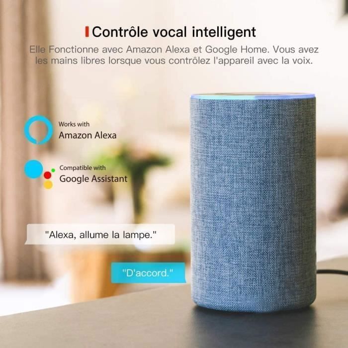 Multipresa intelligente - Senza marca - 4 prese - Compatibile con Alexa e Google Home - Impermeabile IP44 - Tipo F