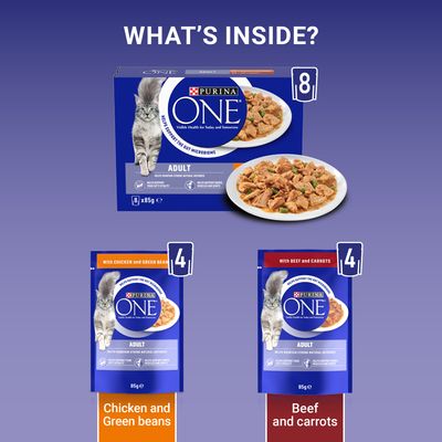PURINA ONE Voksen