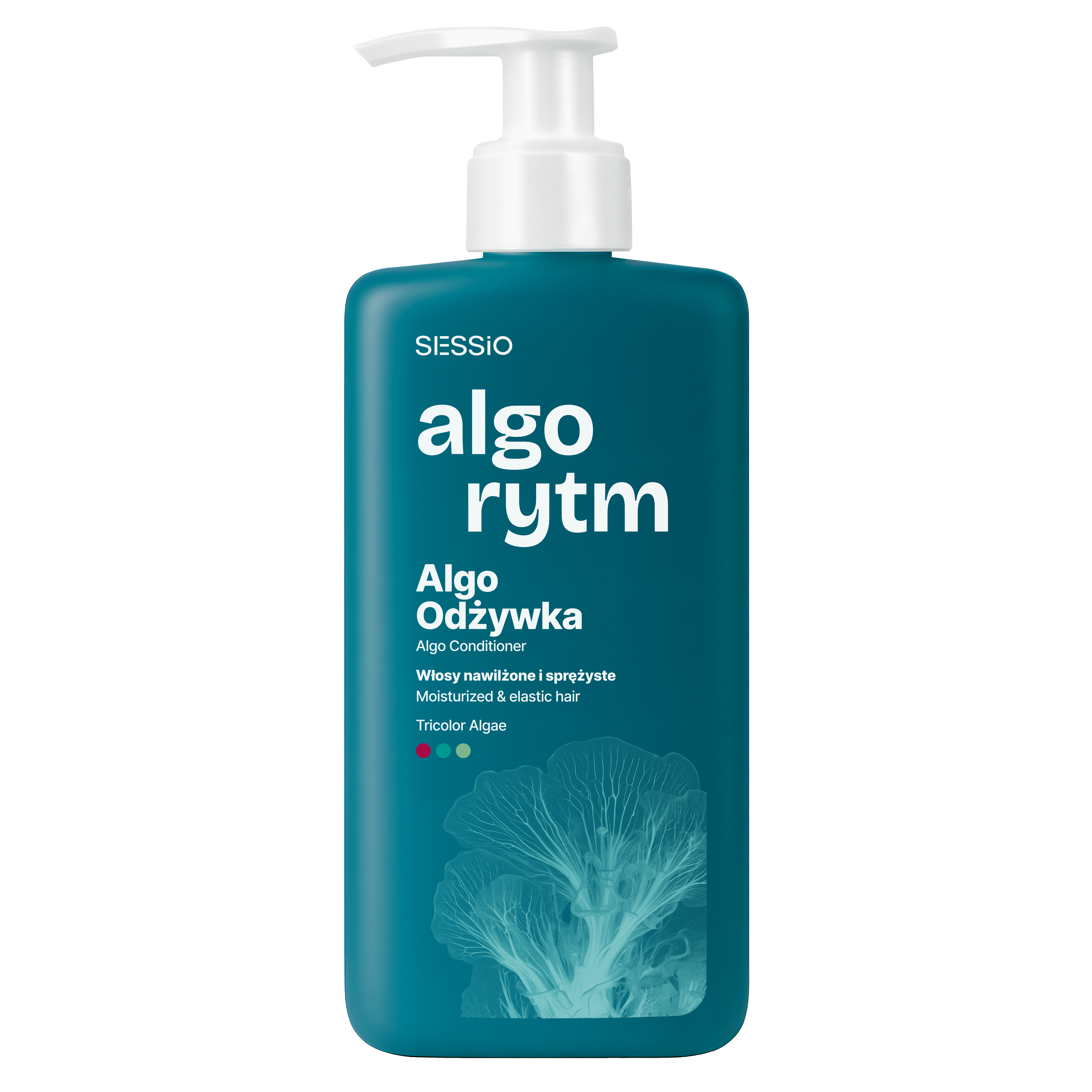 Sessio algoritam