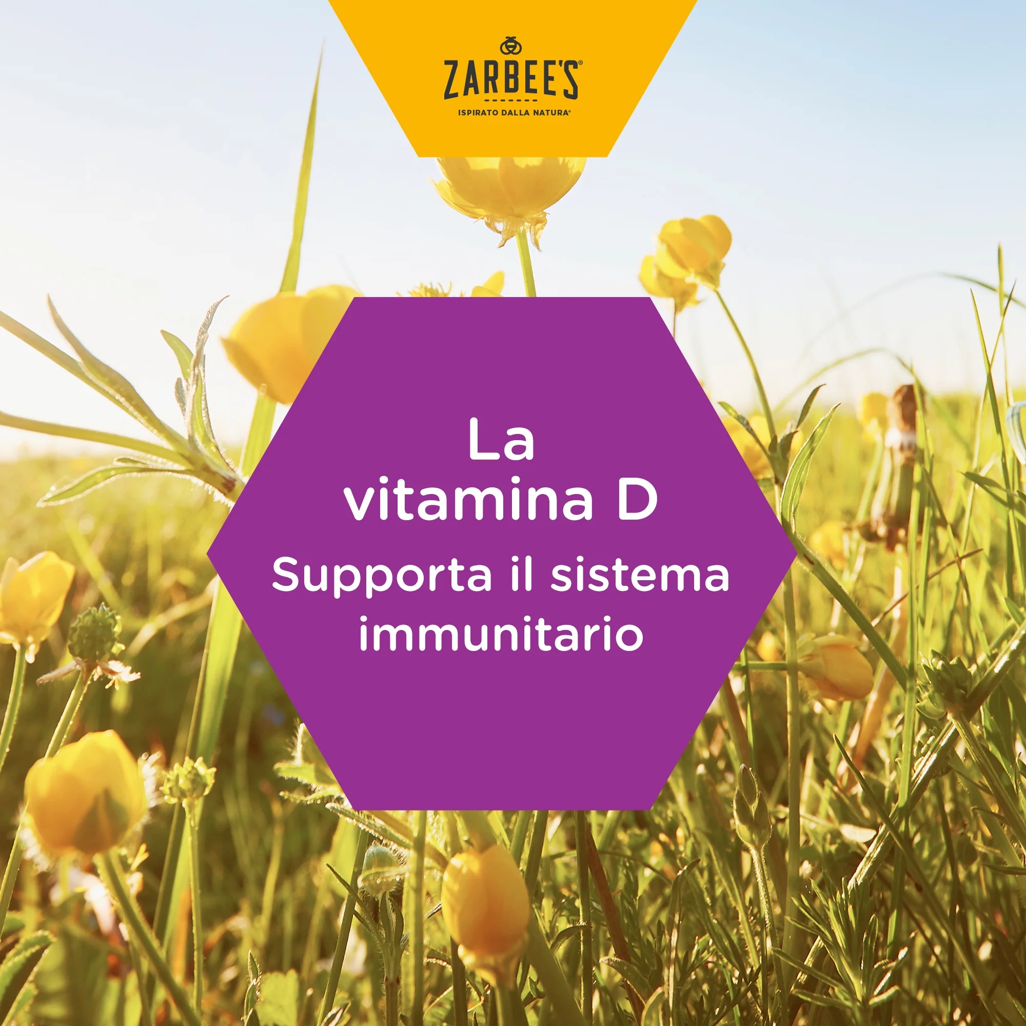 Zarbee's Defensas Inmunológicas Adultos 120 ml sin lactosa