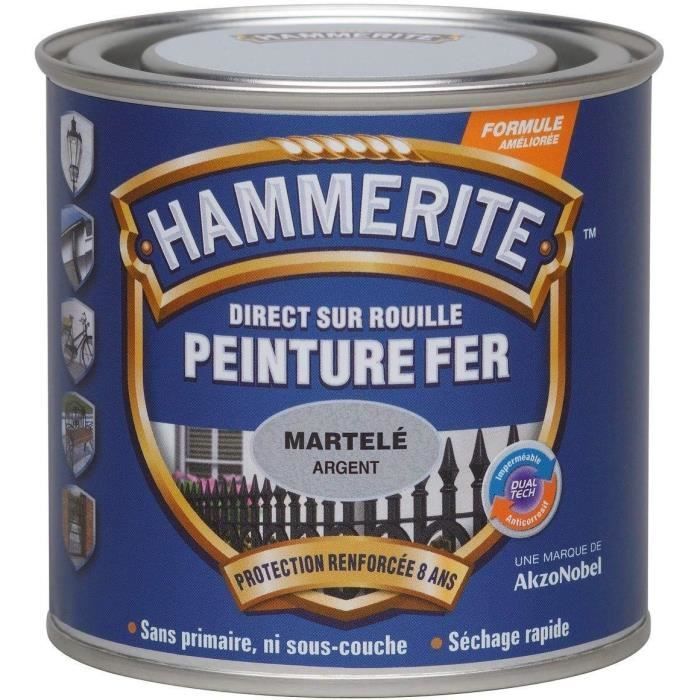 Peinture Hammerite fer martelé - JULIEN - 0,25l - Gris ardoise - Extérieur - Mat - Spécifique