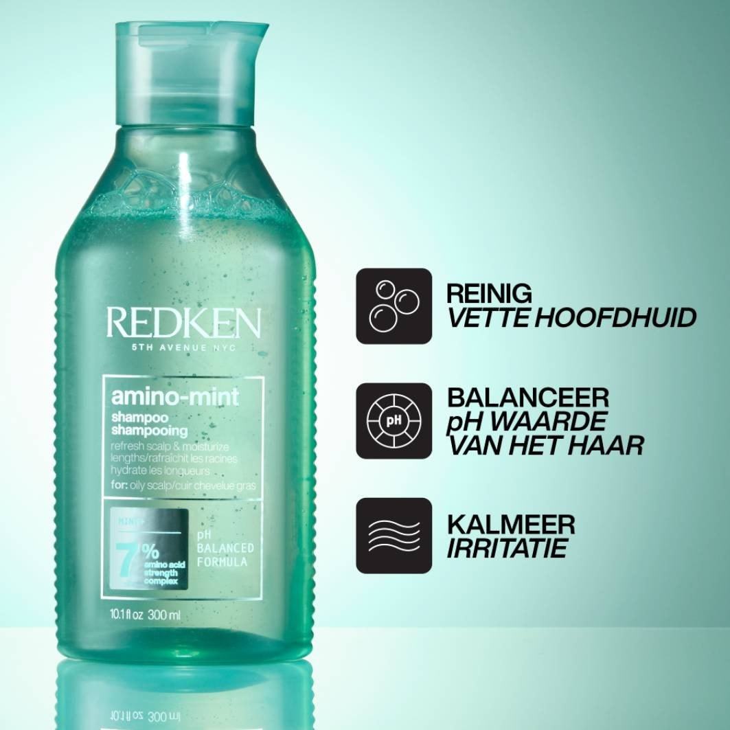 Redken galvos odos raminamasis šampūnas su amino mėtų ekstraktu, 300 ml
