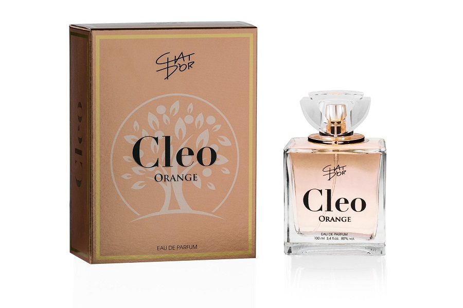 Chat D'or Cleo Orange