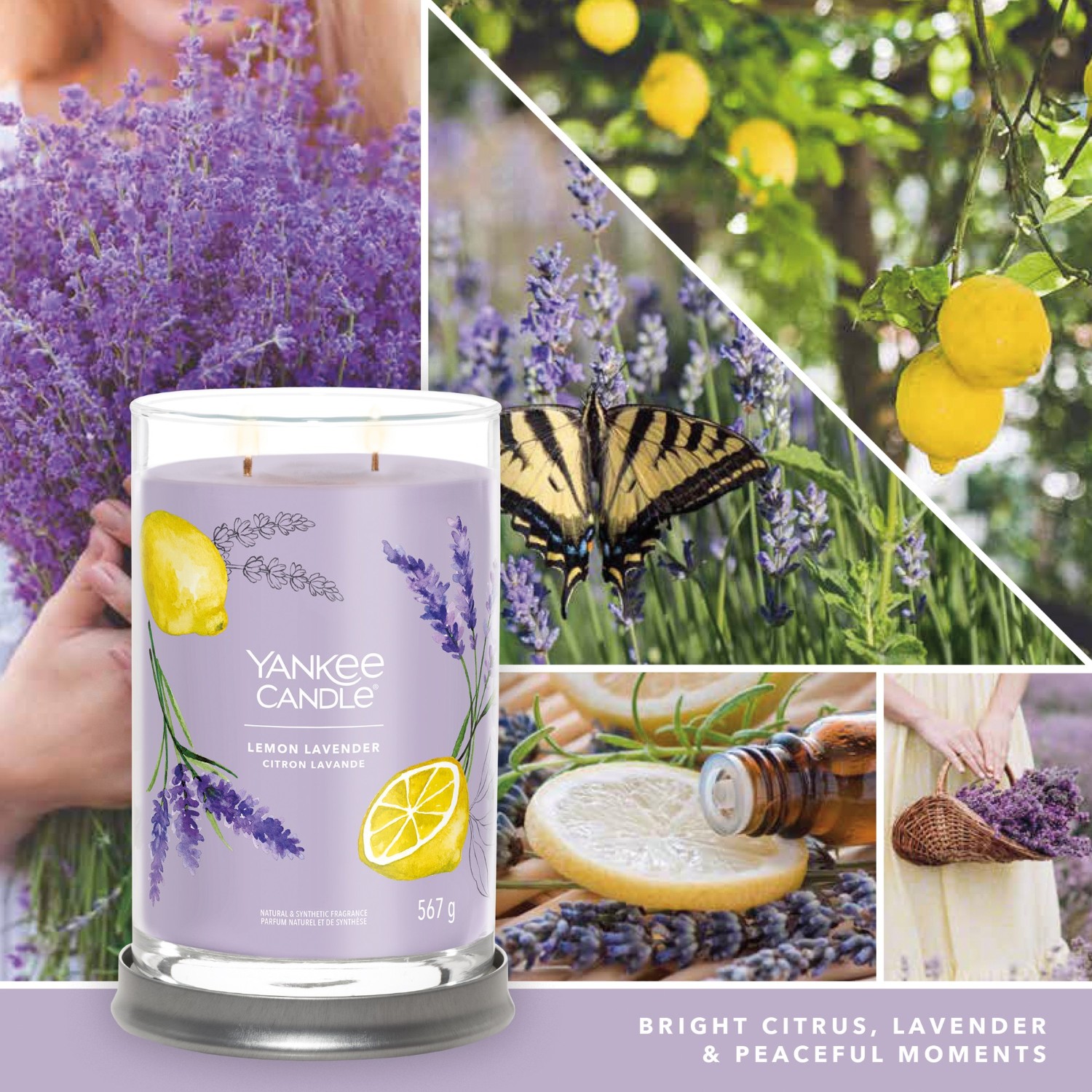 YANKEE CANDLE Grand Gobelet Citron Lavande
