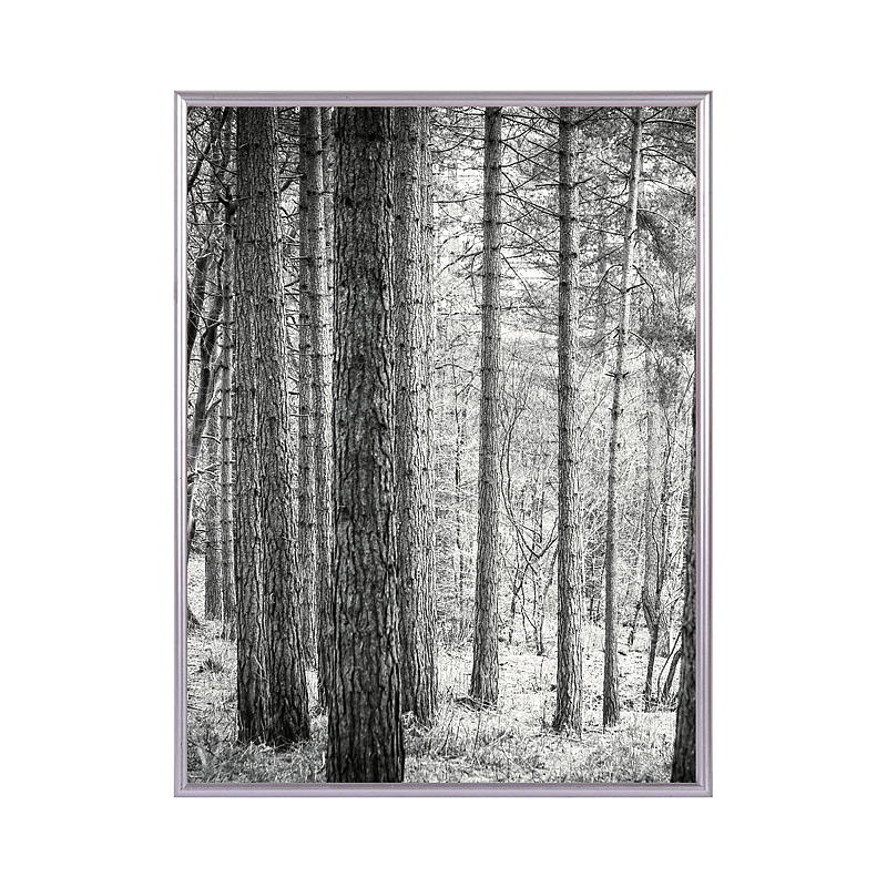 Bilderrahmen „Deco“, 30 x 40 cm, silber