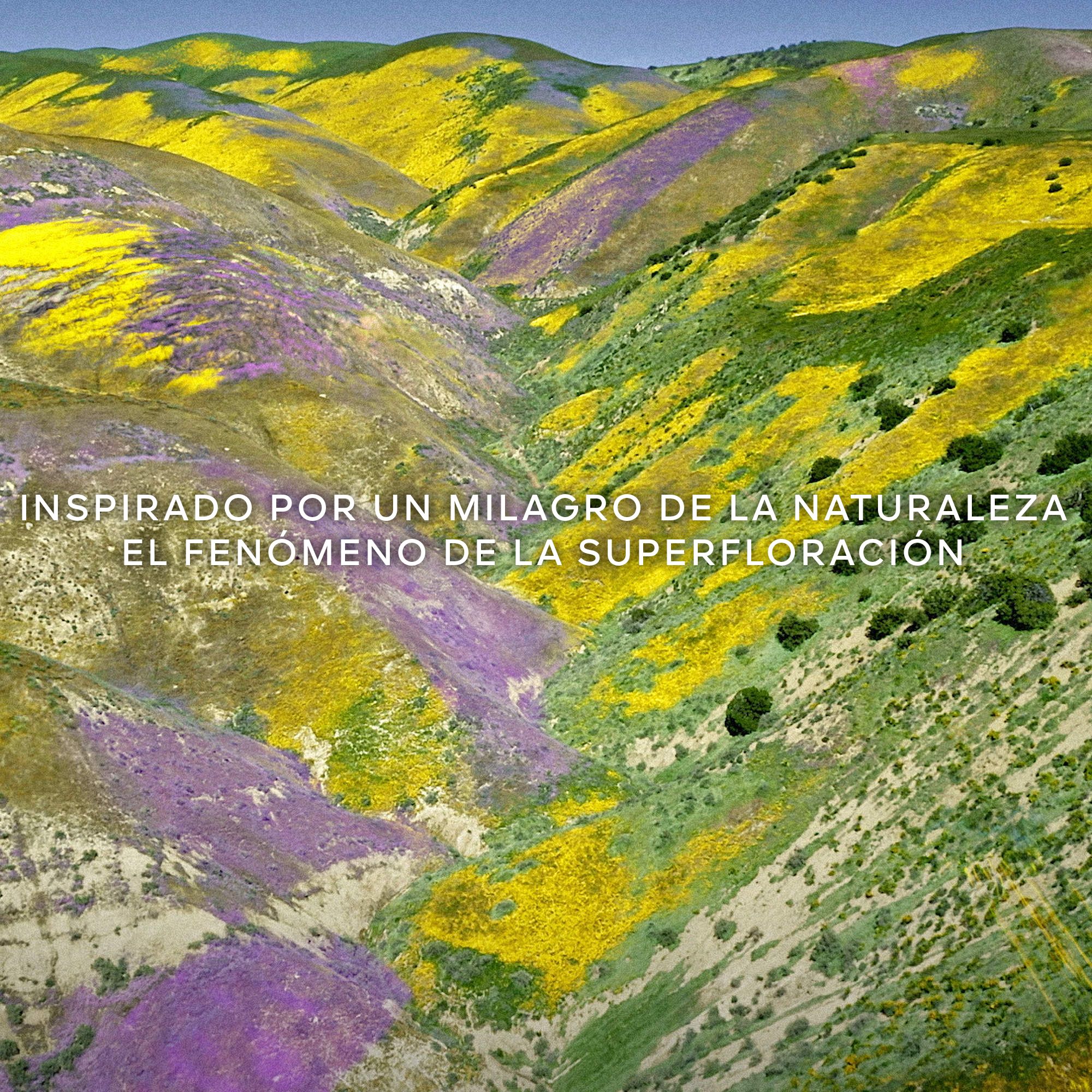 „Aqua Allegoria Florabloom“ tualetinis vanduo Moteriški kvepalai