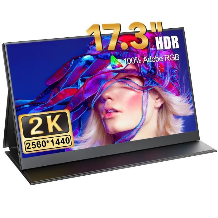 Monitor portatile - CDISPLAY - 17,3 pollici - Risoluzione 2K - IPS - Tempo di risposta 9 ms