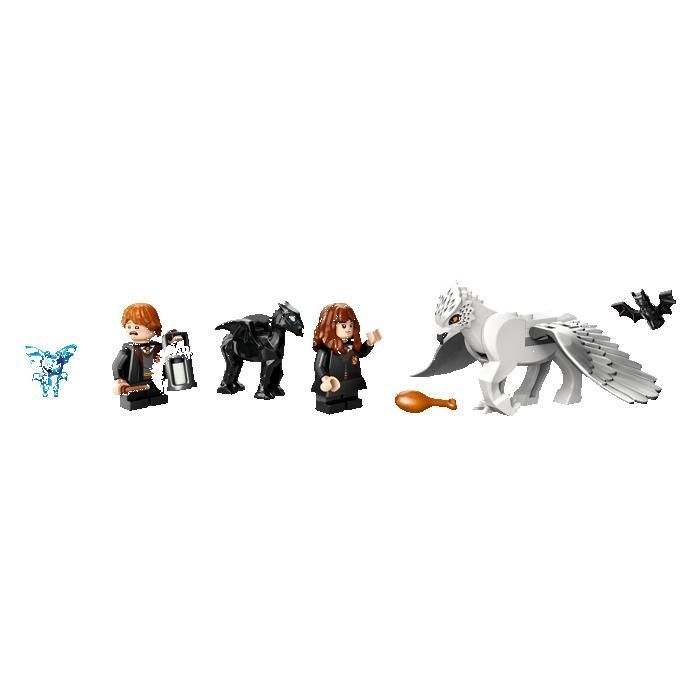 LEGO Harry Potter 76432 La Forêt interdite : les créatures magiques Cadeaux Jouets Objets de collection 8+