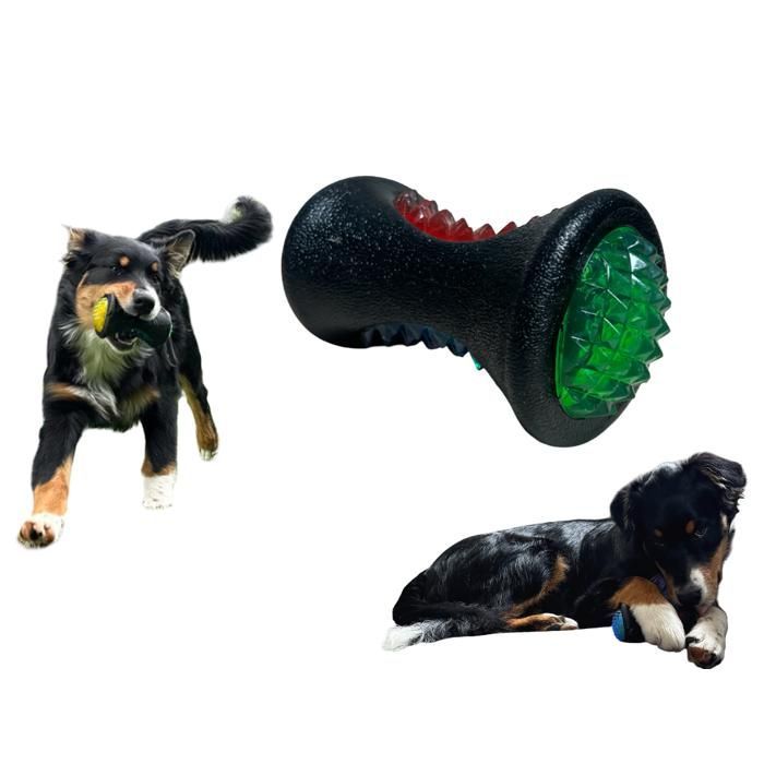 Juguete masticable - Artículos de cuidado personal para el hogar - Pelota saltarina - Goma luminosa - Flota - Higiene bucal