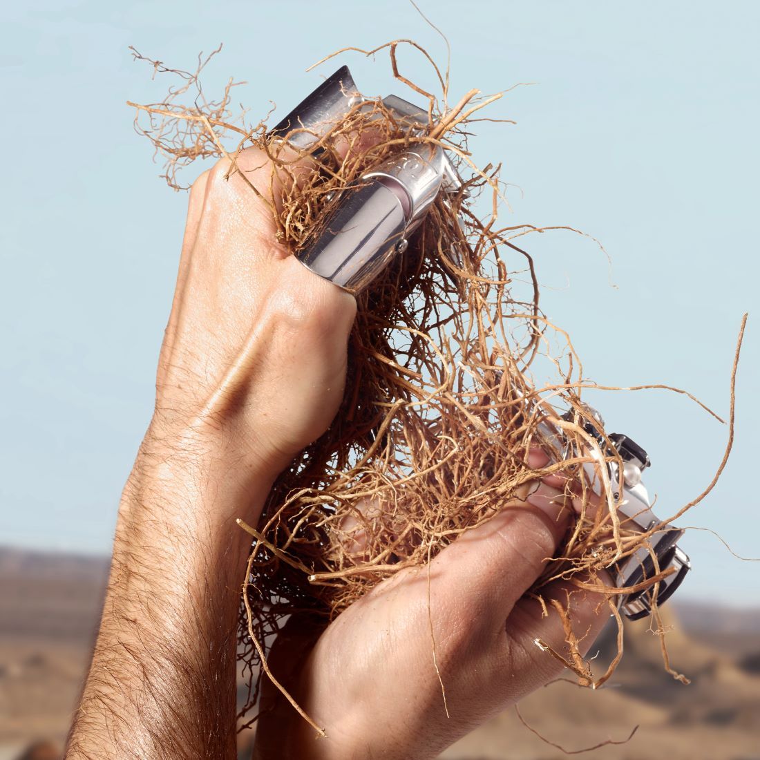 by Dolce & Gabbana tualetinis vanduo (EDT)