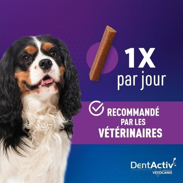 DentActiv - 12 Stick - VETOCANIS - 12 mini stick per l'igiene orale al gusto di manzo per cani da 2 a 15 kg